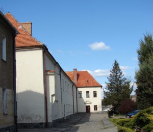 zamek w Niemczy