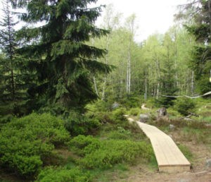 Park Narodowy Gór Stołowych