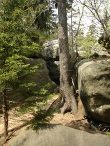 w Górach Stołowych